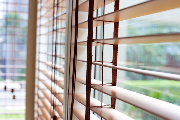 Fenster Jalousien Dekoration Innenraum