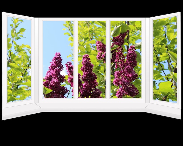 Fenster mit Blick auf den Garten mit einem großen Lila-Busch