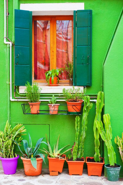 Fenster mit Blumen an der grünen Fassade des Hauses. Bunte Architektur auf der Insel Burano, Venedig, Italien.