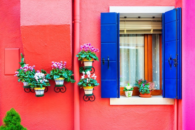 Fenster mit Blumen an der rot gestrichenen Fassade des Hauses. Bunte Architektur auf der Insel Burano, Venedig, Italien.