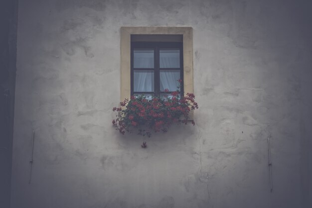 Fenster mit Blumen im Kasten