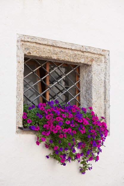 Fenster mit Blumentöpfen und bunten Blumen auf einer weißen Wand