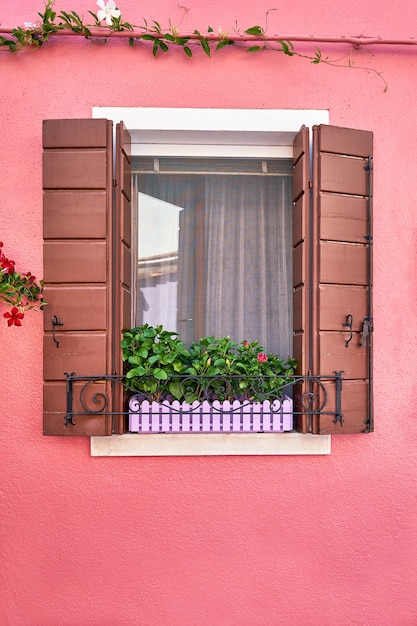 Fenster mit braunen Fensterläden und Blumen im Topf. Italien, Venedig, Burano