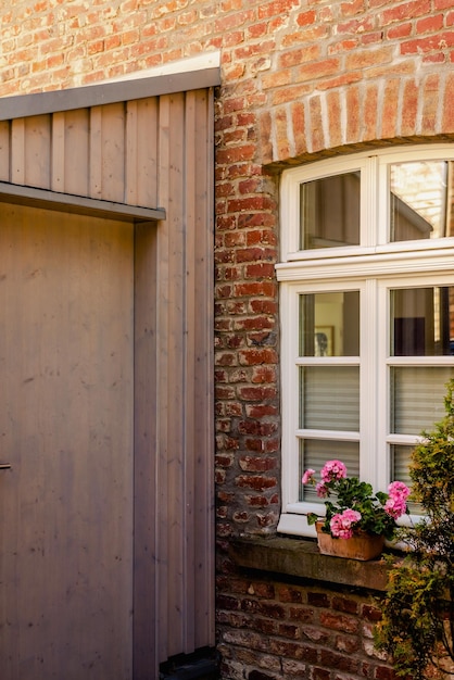 Fenster mit einem Blumentopf