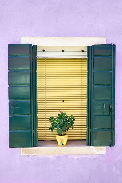 Fenster mit grünem Fensterladen und Blumen im gelben Topf.