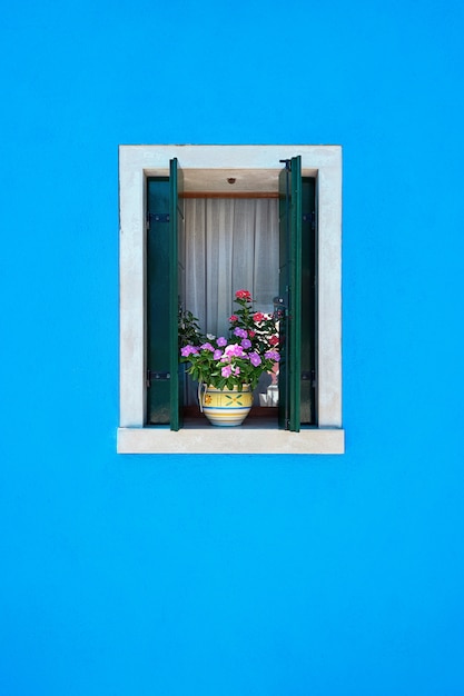 Fenster mit grünen Fensterläden und rosa Blumen im Topf. Italien, Venedig, Burano