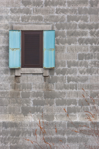 Fenster- und Parasitenanlage auf Backsteinmauer