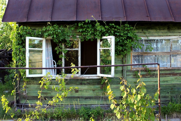 Fenstergarten des grünen Hauses