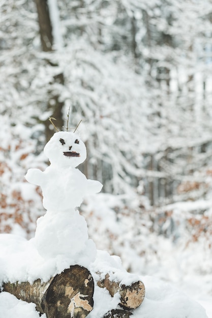 Feo muñeco de nieve en el parque cubierto de nieve