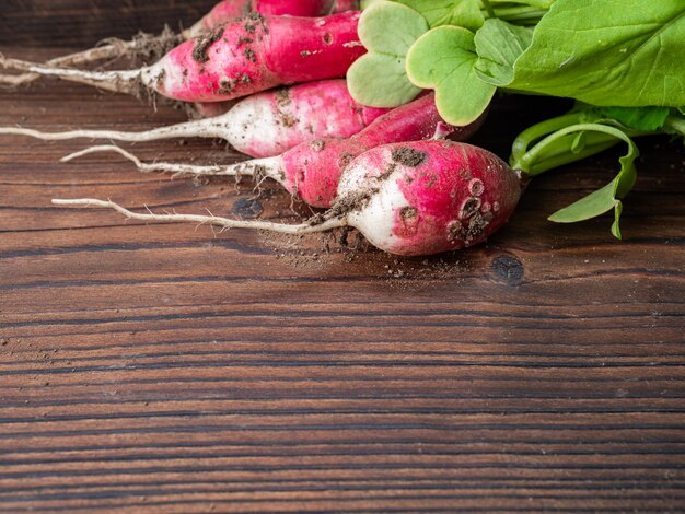 Feo rábano verde vegetal con brotes en una madera oscura