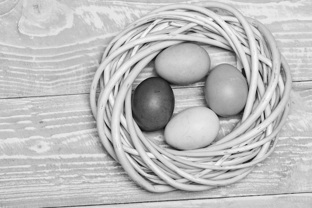Feriado da primavera Preparação da celebração do feriado Caça aos ovos ovos pintados no espaço da cópia do ninho Feriado saudável e feliz Feliz Páscoa Saudação Páscoa