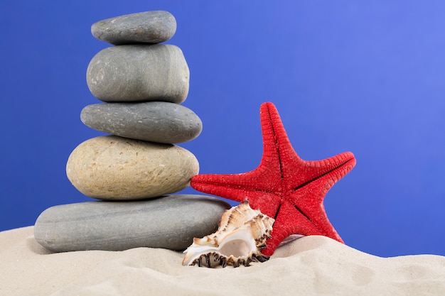 Férias com estrela do mar vermelho, pedras, conchas