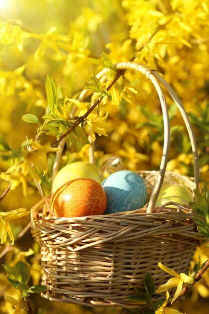 Férias da primavera. Ovos de Páscoa em uma cesta de vime em um galho de um arbusto florescendo