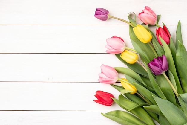 Férias da primavera. tulipas coloridas brancas com fundo de madeira vista superior plano