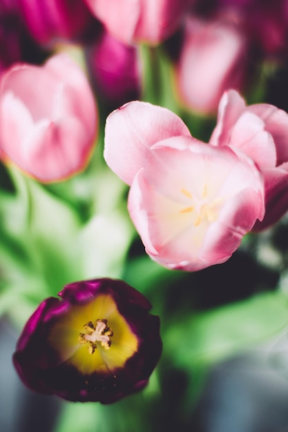 Férias de casamento de buquê de tulipas e conceito de jardim floral