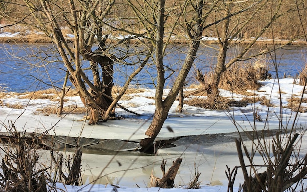 Férias de primavera em um rio rápido, a neve derrete
