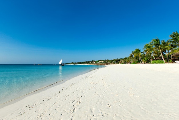 Férias de verão de praia tropical e conceito de férias para turismo