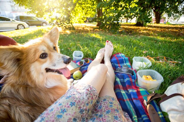 Férias de verão e diversão feliz - piquenique no parque. garota com um cachorro corgi fofo descansando em um parque em uma manta