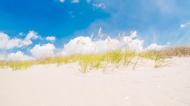 Férias de verão na praia na carolina do sul.