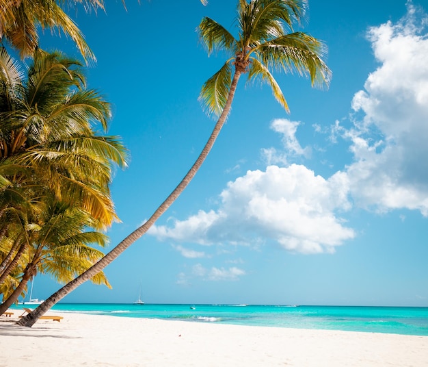 Férias de verão papel de parede de fundo ensolarado tropical praia do paraíso caribenho com areia branca na ilha de Seychelles Praslin estilo Tailândia com palmas