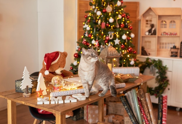 Férias e férias de inverno fundo de decoração de natal e ano novo árvore de natal e brinquedos gato de natal interior do apartamento de férias