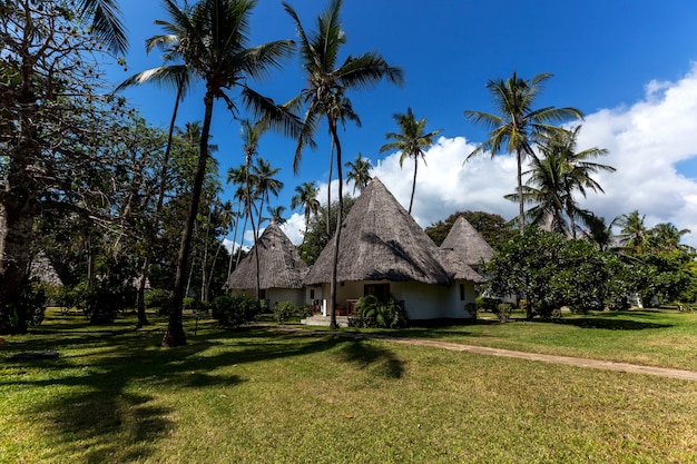 Férias sob palmeiras. lugar perfeito para férias é em uma ilha com bangalô e lounge com palmeiras