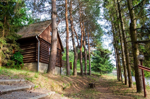 Ferienhaus in einem Pinienpark im Sommer