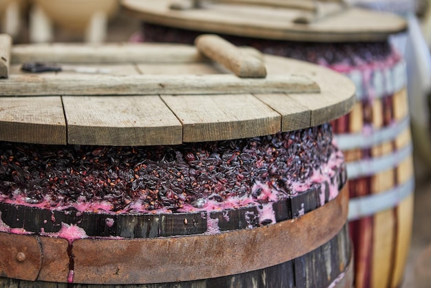 Foto fermentación de uvas en barrica para hacer vino