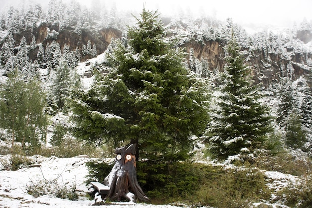 Ferner Garten en el parque natural de Kaunergrat cerca del valle de Pitztal y el valle de Kaunertal y el valle de Inntal para los viajeros que buscan y visitan la vista de la montaña de los Alpes en el Tirol, Austria