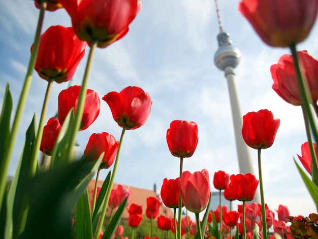 Fernsehturm, Berlin