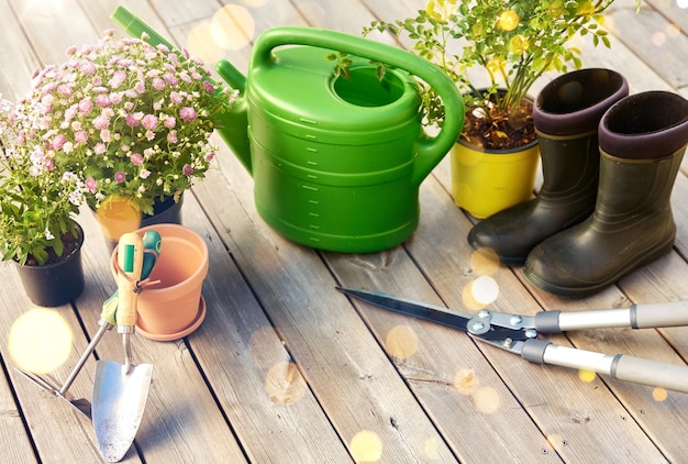 ferramentas de jardim mudas de flores e botas de borracha