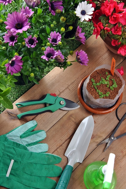 Ferramentas de jardim na mesa de grama e madeira com vários tipos de plantas