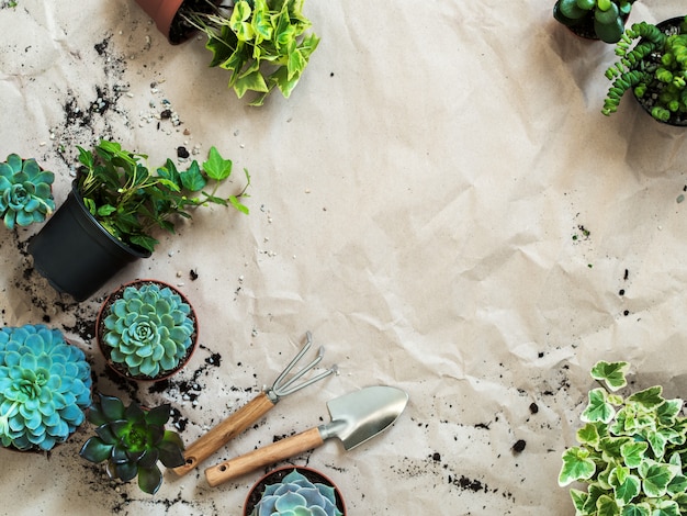 Ferramentas de jardinagem com plantas em vasos na vista superior de papel ofício amarrotado