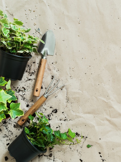 Ferramentas de jardinagem com plantas em vasos na vista superior de papel ofício amarrotado