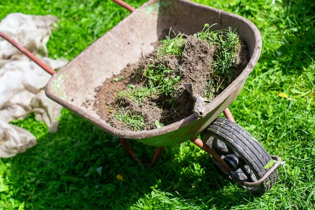 Ferramentas de jardinagem. Conceito agrícola. Época de cultivo. Carrinho de mão com solo.