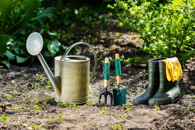 Ferramentas de jardinagem e flores no jardim, como regador, botas de borracha, vasos, vasos, luvas de borracha