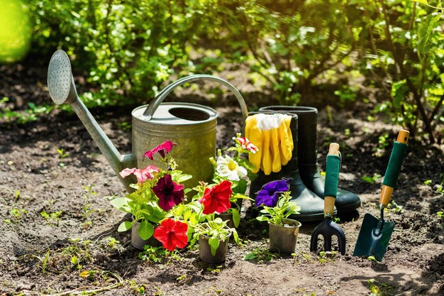 Ferramentas de jardinagem e flores no jardim, como regador, botas de borracha, vasos, vasos, luvas de borracha