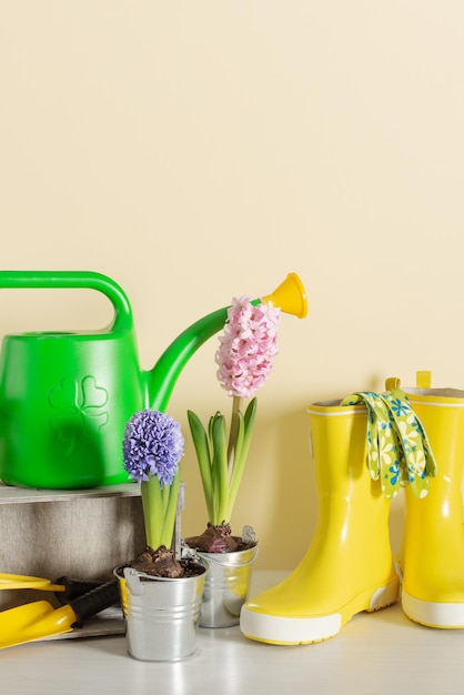 Ferramentas de jardinagem e flores para plantar Hobbies de jardinagem de primavera em casa