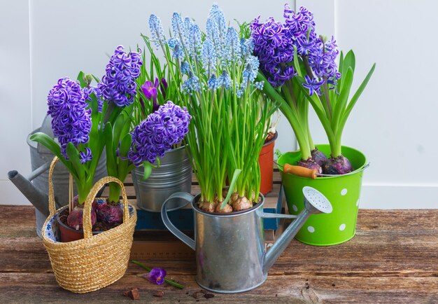 Ferramentas de jardinagem e flores