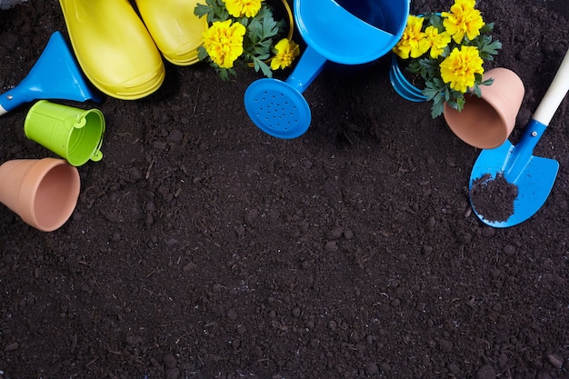 Ferramentas de jardinagem, flores no solo. Conceito de obras de jardim de primavera. Layout com espaço livre capturado de cima.