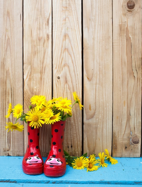 Foto ferramentas de jardinagem, rega, sementes, plantas e solo. flores em vasos com fundo de madeira