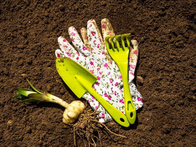 Ferramentas e luvas de jardinagem estão em solo fértil