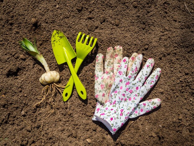 Ferramentas e luvas de jardinagem estão em solo fértil