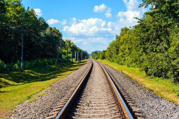 El ferrocarril va al horizonte, a ambos lados del bosque verde y denso.