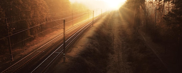 El ferrocarril atraviesa el bosque. Pistas vacías al atardecer o al amanecer.