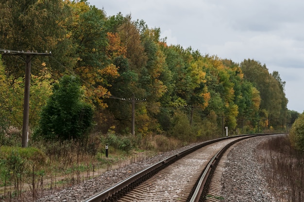 Ferrocarril en el bosque en otoño un día nublado