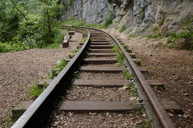 Ferrocarril en el bosque, verano en la selva