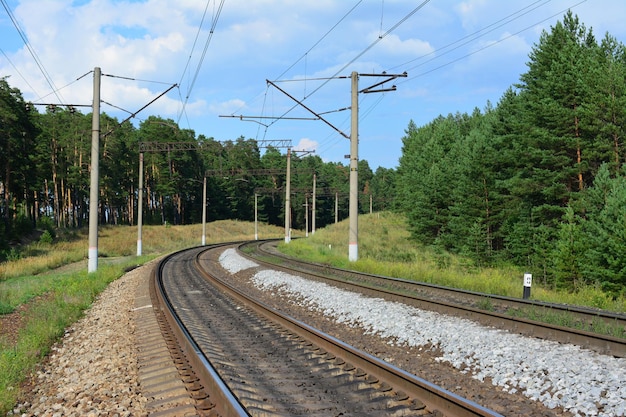 ferrocarril con columnas eléctricas atravesando el bosque