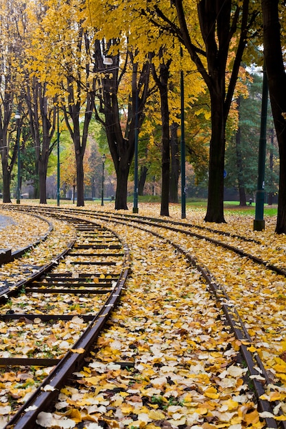 Ferrocarril cubierto por el follaje de otoño, Torino, Italia