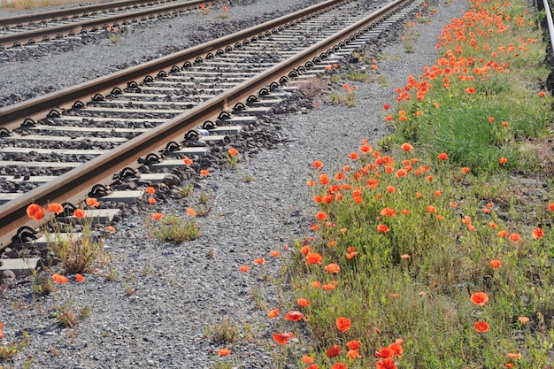 Ferrocarril con flores